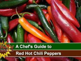 A Chef's Guide to Red Hot Chili Peppers