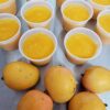 Limber de Mango ~ Mango Ice