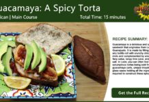 Guacamaya: A Spicy Mexican Torta